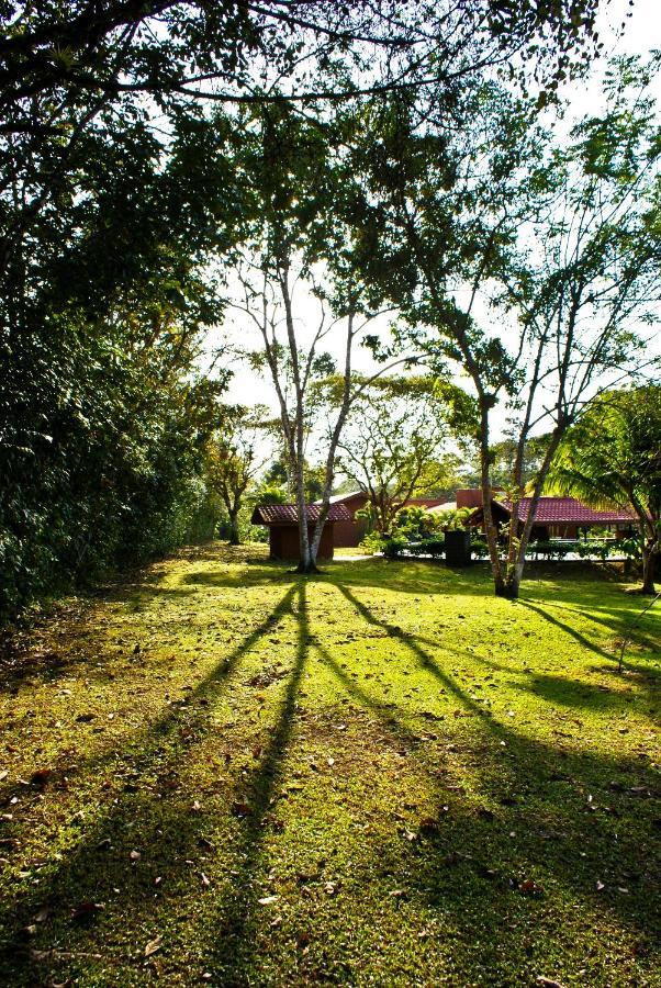 Natural Lodge Cano Negro Exteriér fotografie