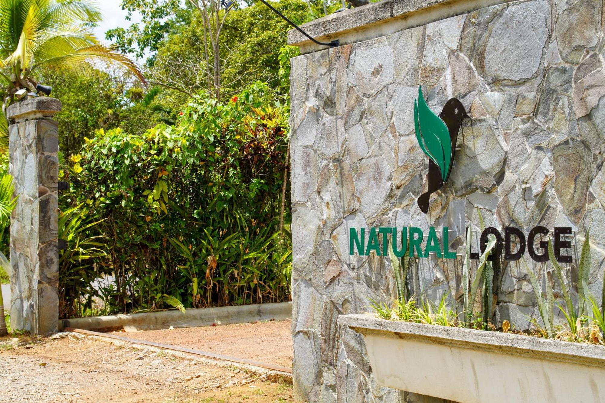 Natural Lodge Cano Negro Exteriér fotografie