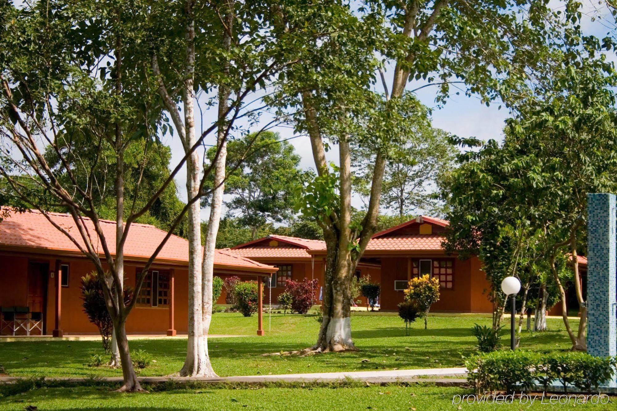 Natural Lodge Cano Negro Exteriér fotografie